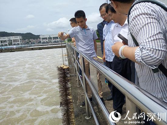 6月21日，东深供水工程工作人员展示生物硝化站净水工艺。陈育柱摄  