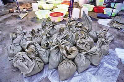 民警查获氯胺酮(K粉)成品、半成品共计1.2吨。 警方供图