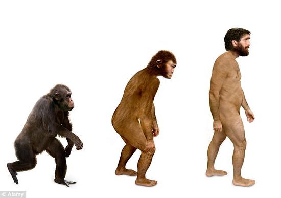  资料图：达尔文进化论