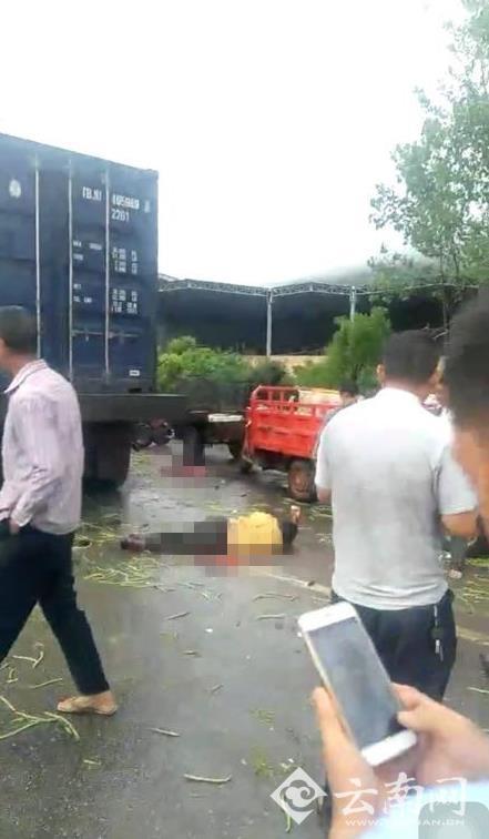 图片来源:云南网