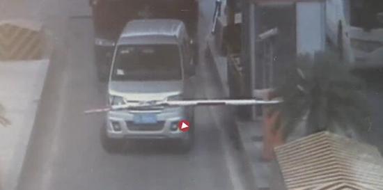养猪场遭雷击 8头上百公斤肥猪被劈死(图)