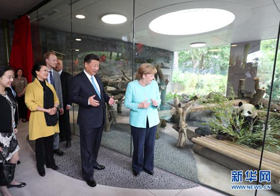 7月5日，国家主席习近平同德国总理默克尔共同出席柏林动物园大熊猫馆开馆仪式。这是习近平和夫人彭丽媛同默克尔在大熊猫馆。新华社记者 马占成摄