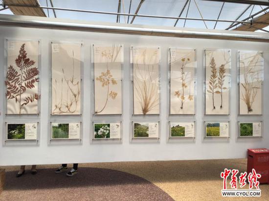 云计算风电场 内蒙古数据化科技化发展无处不