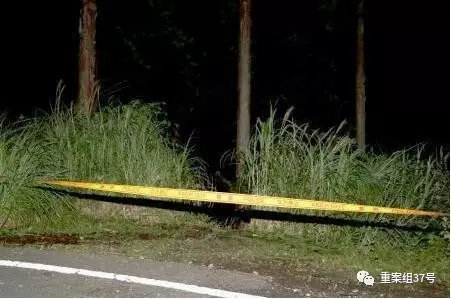 ▲发现疑似失踪中国姐妹遗体的山林。 视频截图
