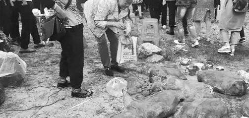 香港一肖中特玄机 香港神童一肖平特