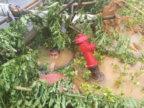 16日上午，三亚海棠区林旺路上一颗树被台风吹断，旁边的消防栓被清理树木的挖掘机不慎挖断，一直冒水。