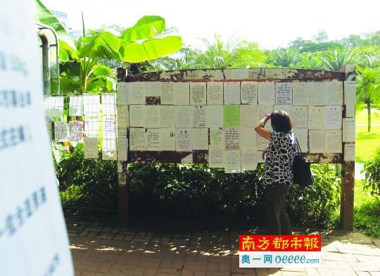 莲花山婚介角，布告栏上贴满了征婚者的资料。南都记者 刘有志 摄