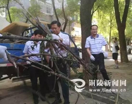 铜陵市长倪玉平