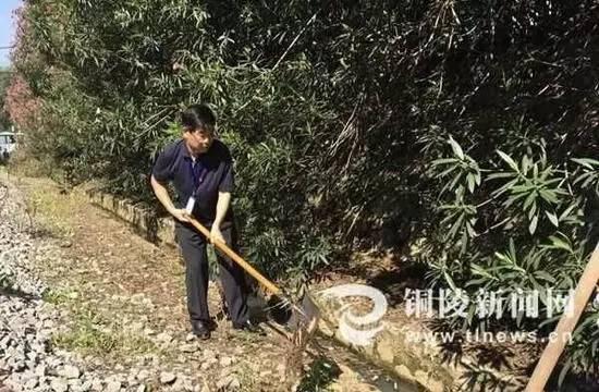 铜陵市委书记李猛