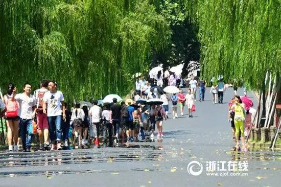 杭州近日连遇高温，午后白堤的路面宛若被“烤化”。（图片来源：浙江在线 里尔/摄）