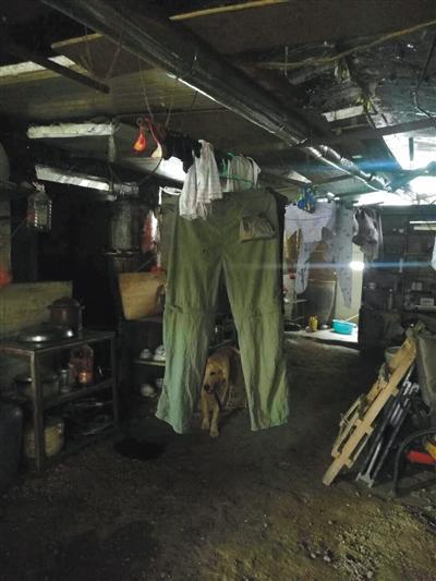 杨枫霜一家住在桥洞中已经13年。受访者供图