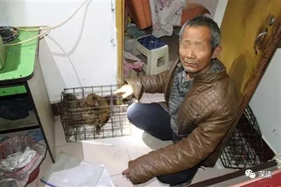 成都森林公安侦破的非法倒卖运输猕猴案,一名新野艺人在指认现场