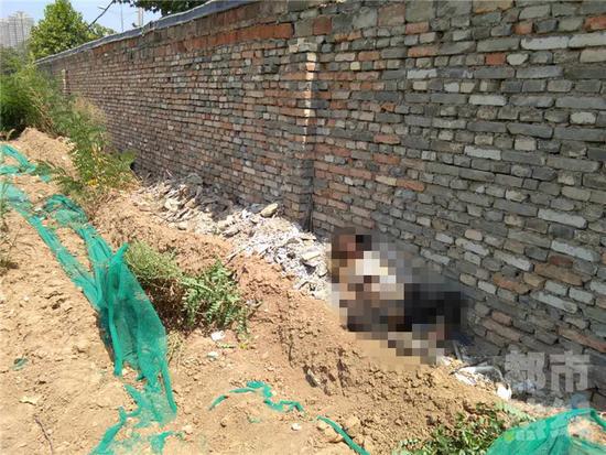 围挡内现女尸 被发现时全身腐烂爬满虫子|围挡