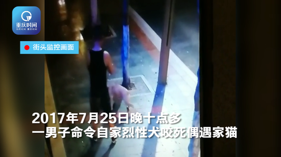 眼前的这一幕幕,当时就让黄先生睡意全无了,连忙起身找寻自己的爱猫,想看看它在不在,结果真不见了,便叫上朋友去找自己的猫。