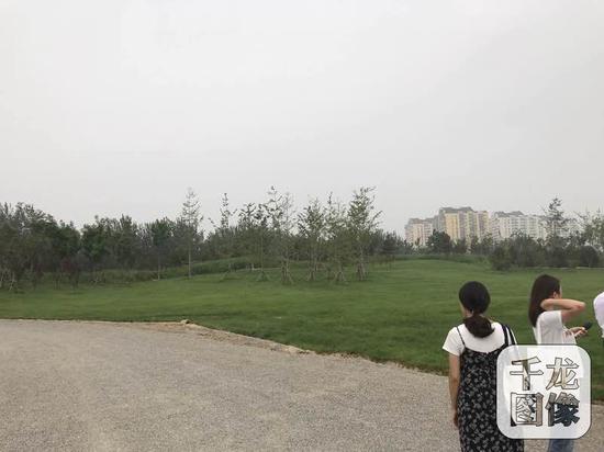 位于海淀塔院村的塔院公园基本建成，这片百亩绿地成为城市“绿肺”，惠及周边居民。图为塔院公园一角。千龙网记者 秦胜南摄