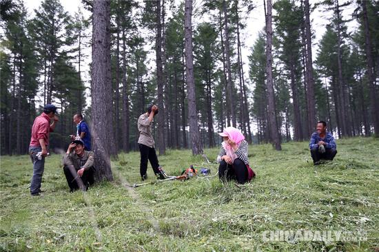 树林、草地,满眼绿色,护林员的林间小憩。
