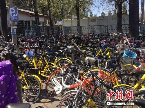资料图：颐和园附近的一处停车点堆满共享单车。中新网 吴涛 摄