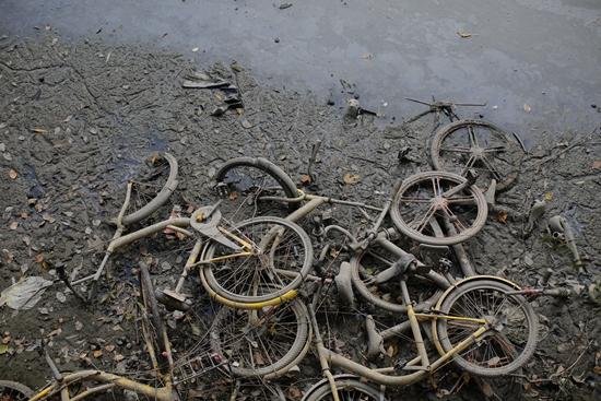 水泥森林里的共享单车猎人 手机是捕猎工具|共