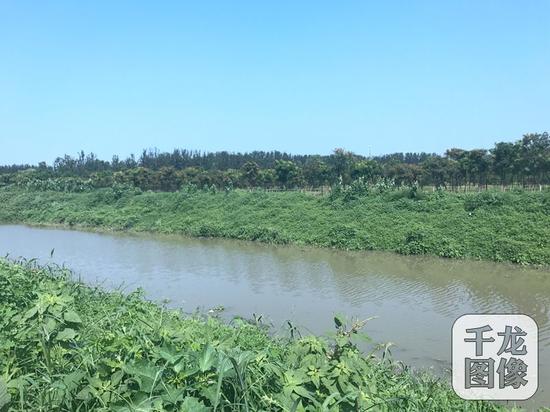 清退低端养殖业后，通州区永顺镇将在原地建成占地面积406亩的刘庄公园。图为现在的中坝河。千龙网记者 戴琪摄