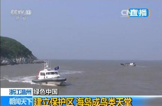 鹿西岛上居民自发组成护鸟队每天开船到鸟岛周围巡逻 