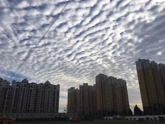 ▲传闻中的“地震云”。图片来自网络