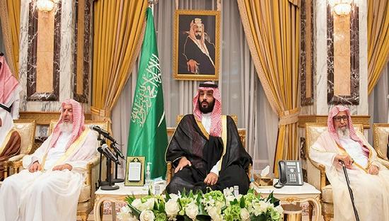 抨击王室后离奇失踪 三位沙特王子去哪儿了?|沙