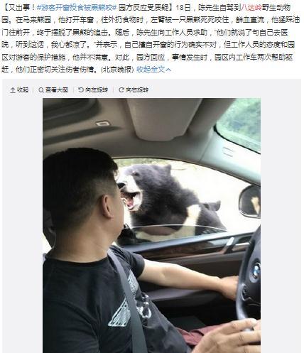 有媒体曝出，8月18日，一名陈姓男子在八达岭野生动物园游玩违规开窗遭熊咬。微博截图