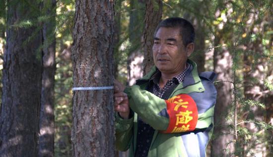 (图片来源:塞罕坝林场宣传处)