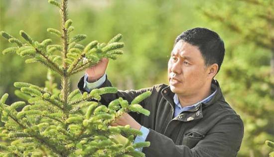 塞罕坝机械林场总场森林病虫害防治检疫站站长国志锋。田明 霍艳恩摄