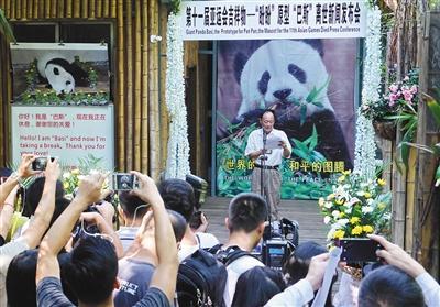 昨日，海峡（福州）大熊猫研究交流中心宣布，巴斯因病于9月13日上午8时50分在福州离世。新华社发