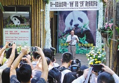 昨日,海峡(福州)大熊猫研究交流中央宣布,巴斯因病于9月13日上午8时50分在福州离世。新华社发