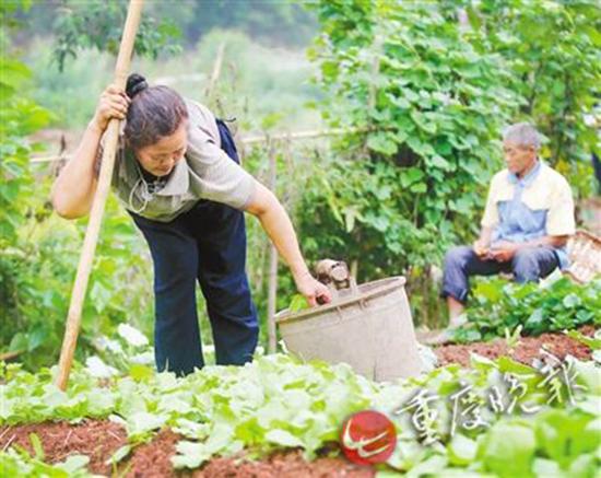 曹树才等着许厚碧干完农活好把她背回家。“我就坐在田边,等他”
