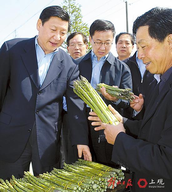 2007年4月12日，习近平在崇明县调研。