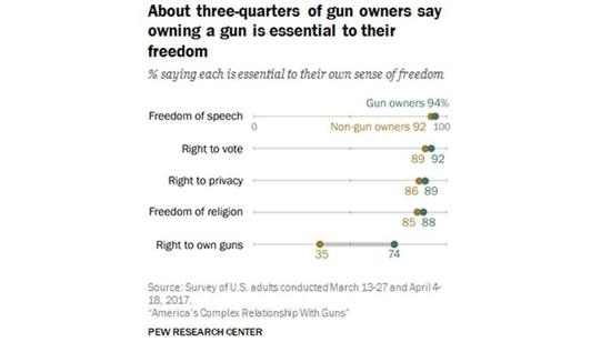 图表3:  四分之三有枪人士称拥枪对自由至关重要