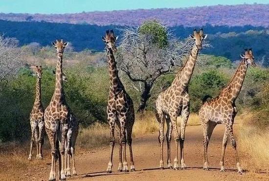 除了用塑料袋会坐牢 去这国还有不少雷区别碰