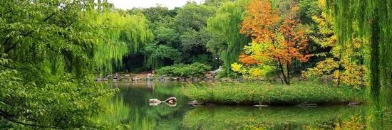 ▲北京大学。图片来自北京大学官网