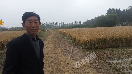 摄/法制晚报·看法新闻记者 杨小嘉