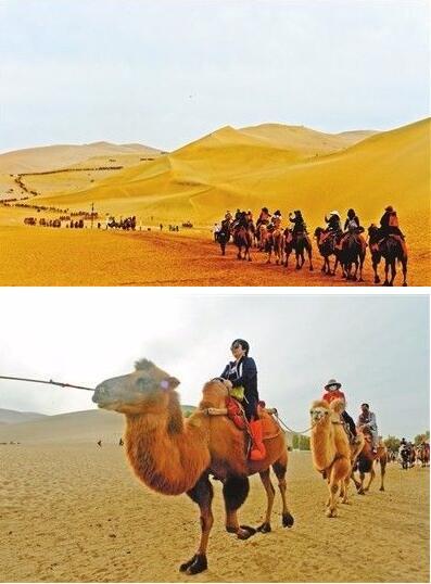 游客在鸣沙山骑骆驼体验沙漠风情。 裴强 图