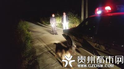 山羊半夜迷路拦警车“求助” 民警凭耳标找主人