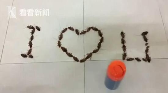 活久见！男子用38只活蟑螂拼成“I love U”表白