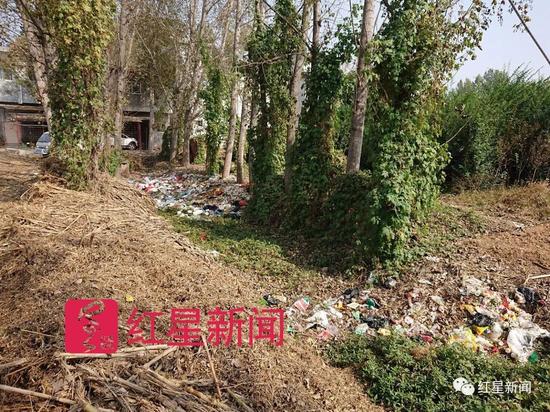 ▲村后的垃圾沟 图片来源:红星新闻