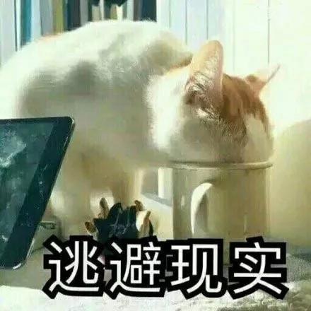 点击下方视频，看看这次又是什么让他们惊掉了下巴↓↓