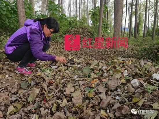 ▲陈立雯继续做着她的“垃圾梦” 图片来源：红星新闻