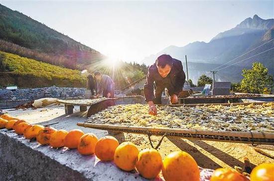 11月8日，兰英村周家坪，村民正在自家房顶翻晒萝卜片。