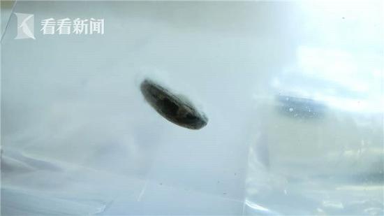 2歲女童吃花生時被舅舅一把抱起 花生掉入氣管差點(diǎn)喪命