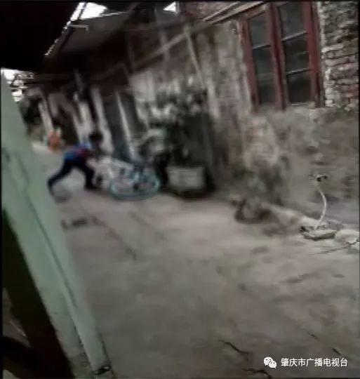 视频截图