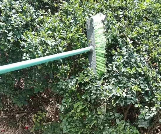 147辉煌国际,香港人苏子硕:在内地寻找更多的可能性