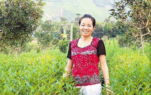  宋昌美在白茶种植基地的照片。资料图 