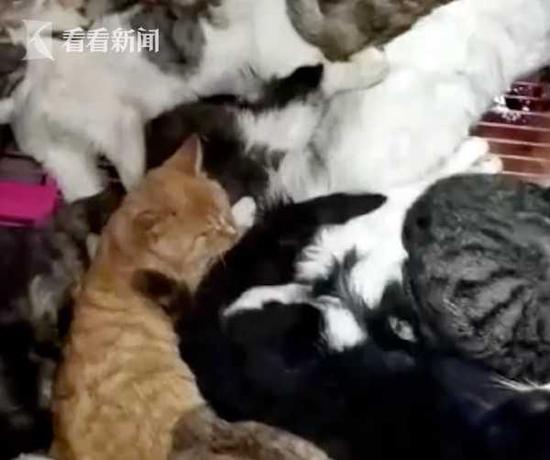 必威体育在,车联网安全建设加速 360聚力打造汽车安全大脑