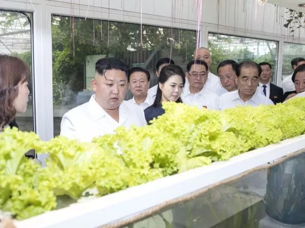 ▲資料圖片:2018年6月20日,金正恩參觀中國農業科學院國家農業科技創新園。( 新華社)